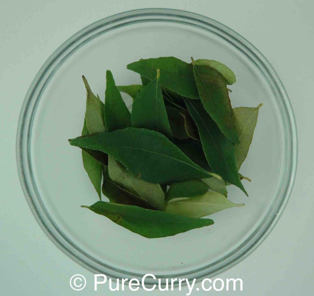 Curry Leaves