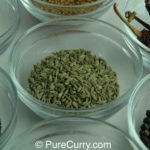 Fennel Seeds
