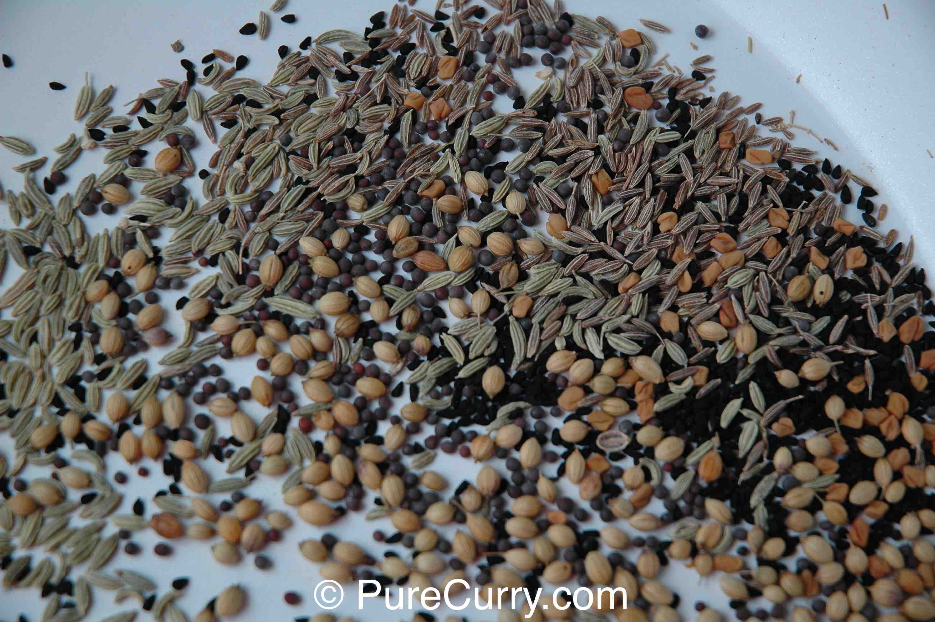 Cumin Seeds, Fennel Seeds, Mustard Seeds, Nigella Seeds, Fenugreek Seeds